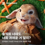 피터래빗 #앨빈과슈퍼밴드악동어드벤처 #쿵푸팬더 #마다가스… 씽,마이펫의이중생활,피터래빗... -  #씽 #마이펫의이중생활 #피터래빗... 