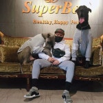 눈뜨자마자 붓기빼로 고고띵 사랑하는 아들 로이 제이크와 한강런닝 #슈퍼바우#반려견#애견#대형견#그레이트덴 #멍스타그램... 