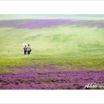 아하브 #시온홈 #황토아트월인테리어 #아트월 #황토월 #핫셀 #김제 #자운영 #봄나들이 #에코 #지곡테라비아타 #테라비아타 | 풍경 사진... 