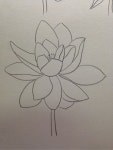 연꽃 도안 : 네이버 블로그 | 연꽃 그림, 미술 스케치, 그리기 아이디어