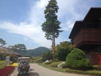 용평 버치힐 GC(20130908)