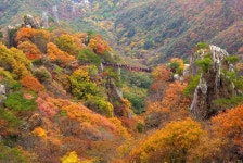 shineyourlight: 한국 가을산 단풍
