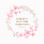 진리를 알지니… #성경 #성경구절