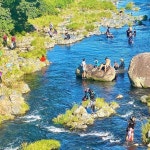 #맑음판포 #박사장네별장집 . #강정천 #제주도강정천계곡 #제주도가볼만한곳 #제주여행추천 #여름제주여행 #8월제주여행 #제주여행 #제주일... 