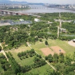 안면도자연휴양림 | 여행