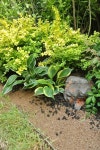 정원 조경 디자인 아이디어 & 사진 | Outdoor decor, Garden, Plants