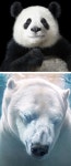 Earth day에 관한 43개의 최상의 Pinterest 이미지 | 환경, 지속가능성 및 창조적인 아이디어 Earth day
