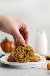 Pumpkin Spice Oatmeal Cookies | Recipe in 2022 | Oatmeal cookies chewy, Fall cookie recipes, Fall dessert recipes