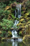 Sri lanka에 관한 52개의 최상의 Pinterest 이미지 | Paisajes, 문화 여행 및 아시아 여행 Sri lanka