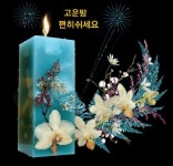 Pin by 윤은자 on 1 | Candle gif, Candles, Candle ornament