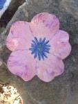 Flower plate for Sampler class | 도자기