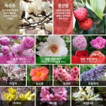 송추조경원예 | 가산원예조경