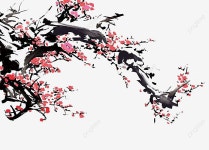 매화 일러스트, 매화 나무, 붉은 매화, 나무 PNG 일러스트 및 PSD 이미지 무료 다운로드 - Pngtree