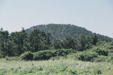 Jeju (제주도) in Early Autumn, South Korea.