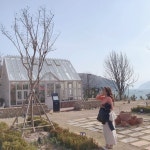 굿굿 #신혼#일상#여행#평일여행 #거제#거제여행#거제핫플#친구 #소통#맞팔#거제카페#외도널서리 #바람아#멈추어다오#d... 