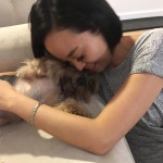 코코 너무 보고싶을꺼야 우리집에 또 놀러와 코코 덕분에 2주동안 넘치게 행복했어고마워 #coco #dog #dogsitting #thankful  코코... 