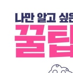 하얀 옷 빨래를 더 하얗게 만드는 노하우 - 2020 | 생활의 요령, 옷