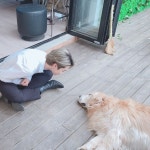 가족들과 소중한 시간들이 되길 바랄게요😊 | Park jimin, Bts jimin, Jimin pictures