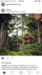 Pin page Pin by Lisa Greaves on Travel | Beach resorts, Ucluelet, Tree house