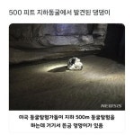 500피트 지하동굴에서 발견된 댕댕이.jpg 아카이브 1 panosundaki Pin