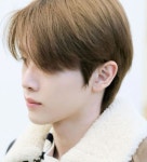 정성찬 (성찬)