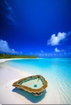 스테이별밤(Stay Starry Night) | Palmyra Atoll HD - Palmyra Atoll: 별밤 (Starry Night) HD Wallpaper