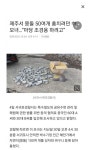 제주서 몽돌 50여개 훔치려던 모녀 마당 조경용 하려고
