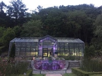 제이드가든_투명LED필름디스플레이_201704 > 시공사례 | SOLUFARM-주식회사 솔루팜