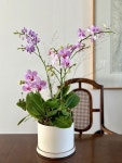 Orchid arrangements에 있는 Juyeon Kim님의 핀 - 2023 Orchid  arrangements에 있는 Juyeon Kim님의 핀 - 2023
