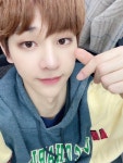 DRIPPIN(드리핀) on Twitter | Woollim entertainment, Young blood, Boy groups