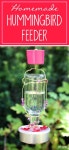 Nature에 관한 43개의 최상의 Pinterest 이미지 | 새, 새집 및 버드 피더 Nature