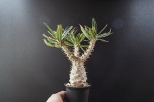 kr 👉프로필링크를클릭 ⏱오픈시간 Tues - Sun 13:00 - 22:00 📍서울시 동대문구 고미술로 100 1F 지상, 지하 주차장 / 답십리역 도보... 