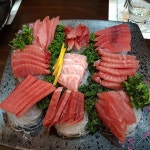 한국의 참치회 korean tuna sashimi 맛있다 냠냠