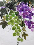 아트/ 포도그리기 /천아트자격증반 꽃그리기/야생화그림 대전가오풀잎문화센터 010-2242-4057 : 네이버 블로그 - 2020 | 다채로운 배경, 꽃... 