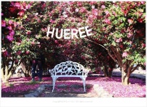 제주여행 동백축제 핫플레이스 휴애리(3), 예쁨주의보 - 2020 | 풍경도, 출입문