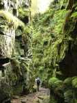 Walking에 관한 7개의 최상의 Pinterest 이미지 Walking
