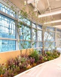 * Project : 이트너스 오피스 * Client : 핫디자인 * Type : Artificial Plants * Location : 경기도 과천시 과천대로7나길 60 과천어반허브 실내조경... 