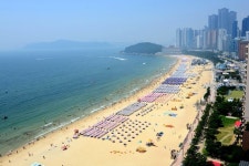 팔레드시즈에서 바라본 해운대해수욕장 전경입니다 | 야외활동