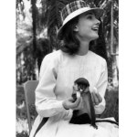 Actress에 있는 재욱 유님의 핀 | 오드리 햅번, 여배우, 배우