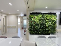 실내수직정원 나아바 바이오필릭 병원 Indoor Vertical Garden NAAVA Biophilic Hospital