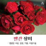 5월14일 로즈데이, 의미가 담긴 장미를 선물해 보세요