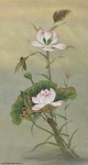 연화도_Lotus Flowers