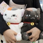 ☆ L U C K Y ☆에 관한 46개의 최상의 Pinterest 이미지 | Maneki neko, 고양이 및 새끼 고양이 ☆ L U C K Y ☆