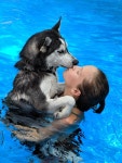 Athlete And His Dog Travel In Van And Enjoy Extreme Sports Together | 애완동물, 동물