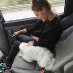 Kim Jaekyung🌈 on Instagram: “드디어 상봉🐶 #너만편하다면 #내엉덩이쯤이야 #jaekyung #마카롱입니다”【2021】