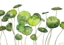 PINTURAS & DESENHOS에 있는 Tania Quarelo님의 핀 | 수채화 삽화, 수채화, 쉬운 diy