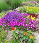 Pin page Pin by 민정 강 on 가든 | Rock garden, Plants, Garden