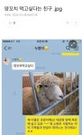 양꼬치 먹고싶다는 친구 .jpg