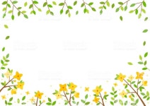 Forsythia,flower,tree,leaf,scenery,spring,... | 꽃 배경, 꽃 나무, 꽃