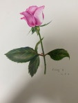 보태니컬아트
